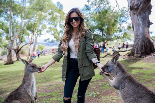 Mia-mia-mine-australia-kangaroos