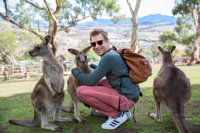 Phil-thompson-and-kangaroos
