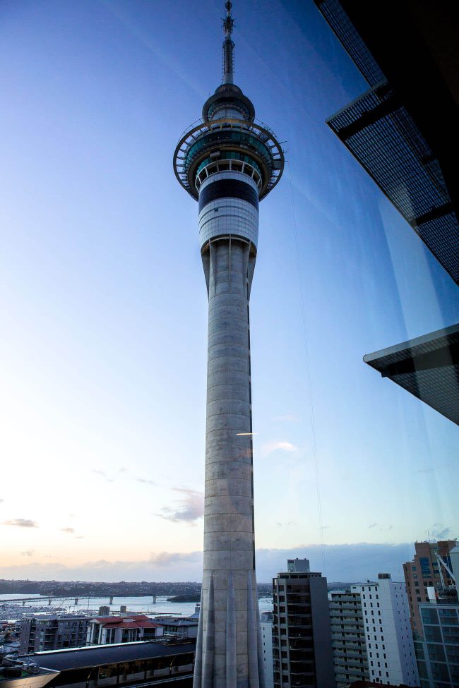 view of sky tower auckland