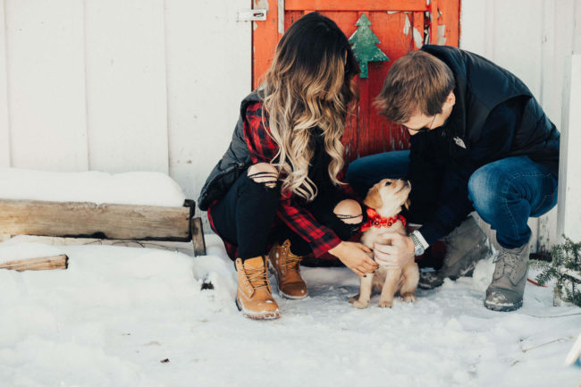 christmas-couple-and-puppy