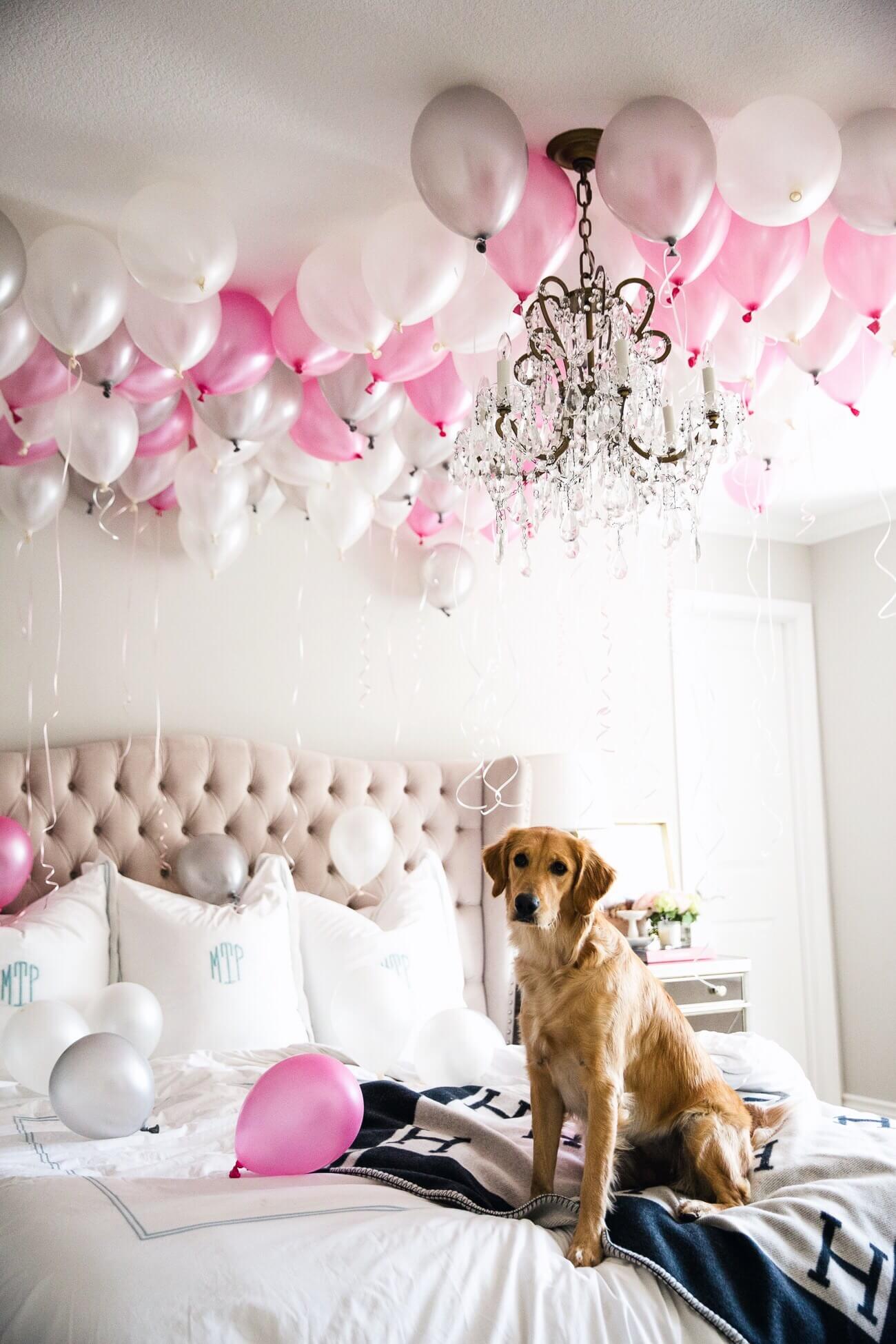 mia mia mine's golden retriever luna with balloons