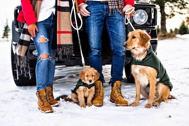 fashion blogger mia mia mine with husband and dogs at a christmas tree farm