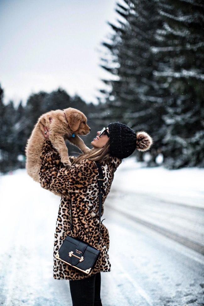 fashion blogger mia mia mine wearing a leopard coat and prada cahier bag