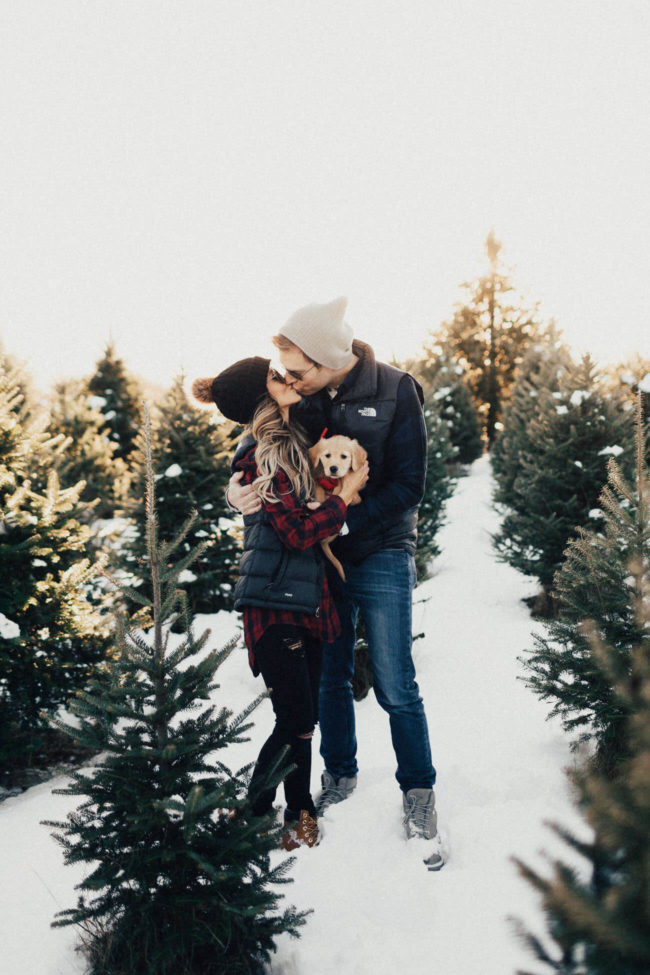 christmas-tree-farm-couple-and-puppy