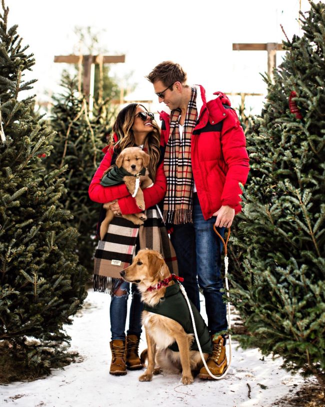 fashion blogger mia mia mine with husband and golden retrievers at a christmas tree farm