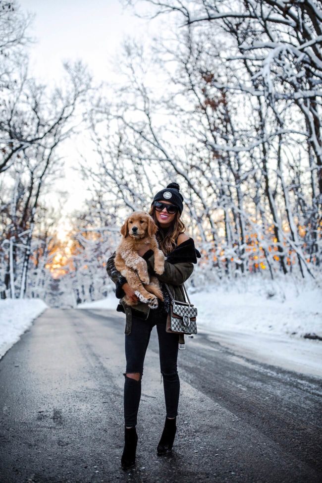 mia mia mine with golden retriever puppy in the snow