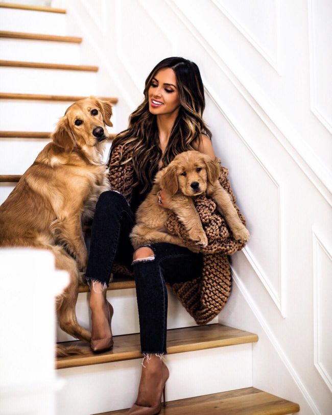 mia mia mine wearing a handknit cardigan with golden retriever puppies luna and leo