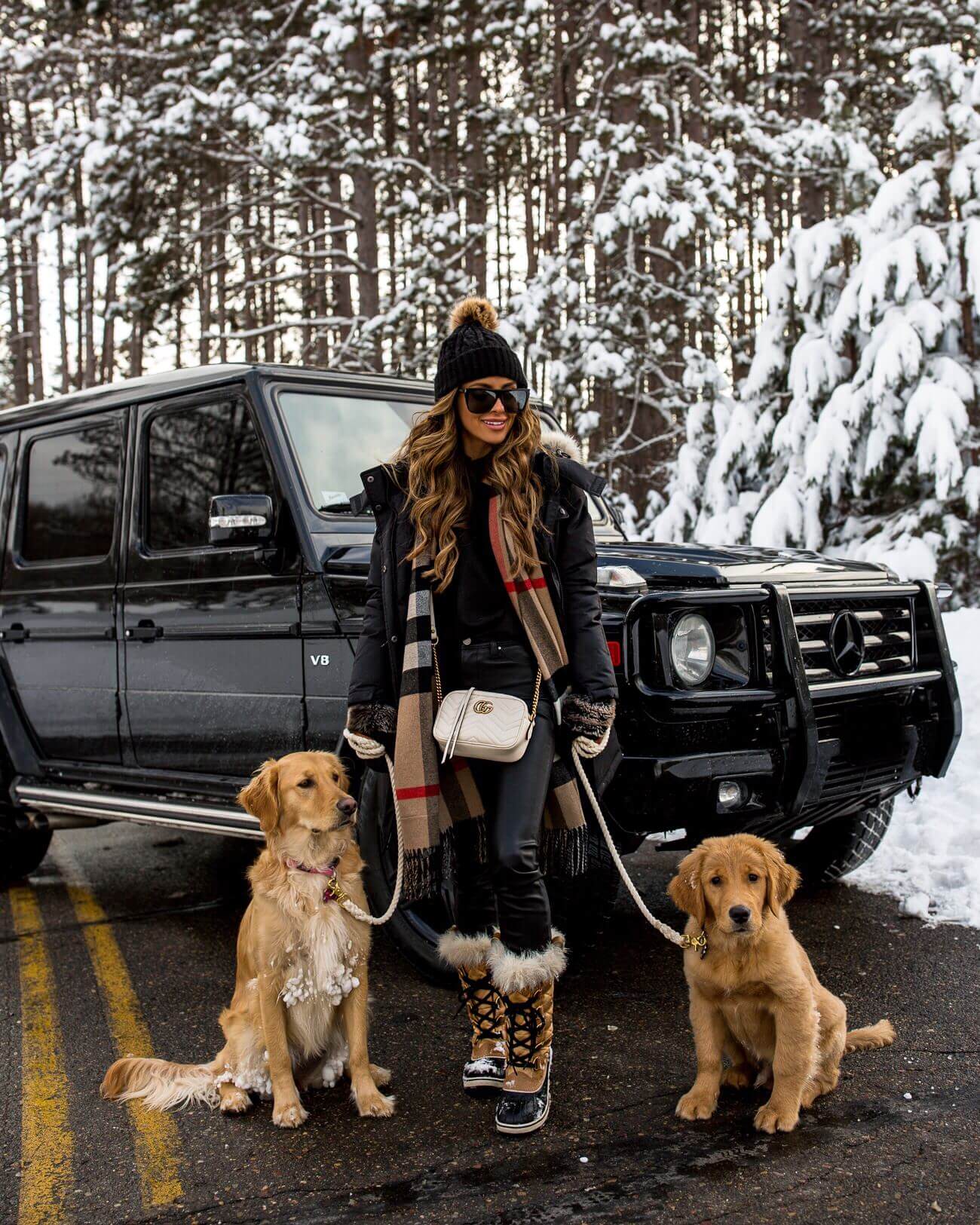 mia mia mine with golden retriever puppies