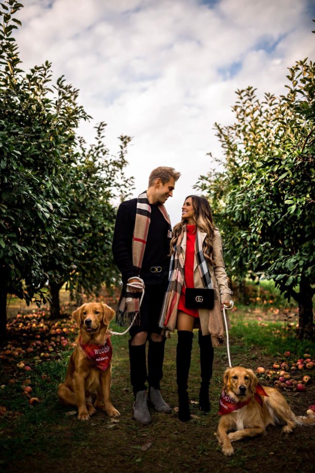 fashion blogger mia mia mine and husband phil thompson and golden retrievers at an apple orchard in stillwater mn