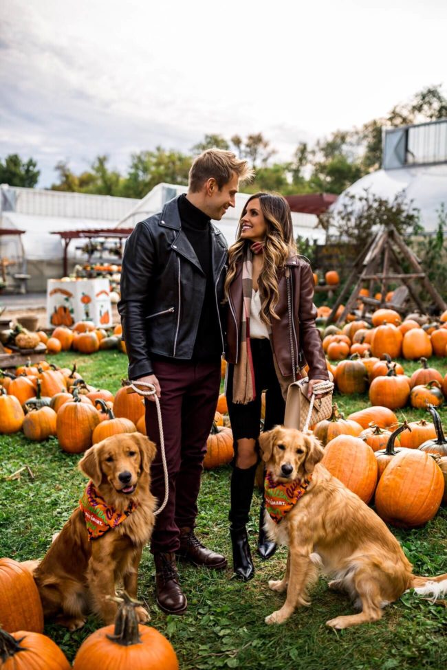 fashion blogger mia mia mine at a pumpkin patch with husband phil thompson and golden retrievers