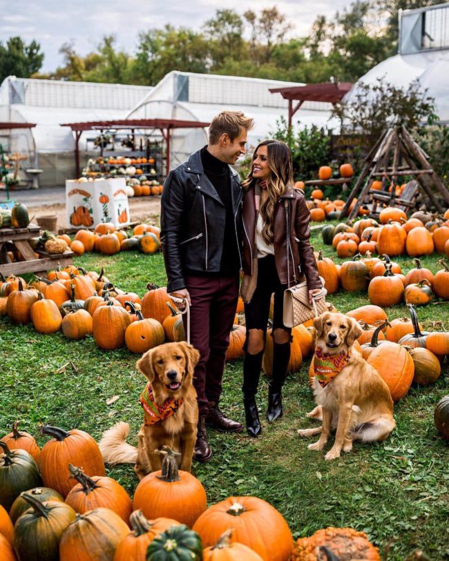 mia mia mine with husband and golden retrievers at a pumpkin patch fall 2018