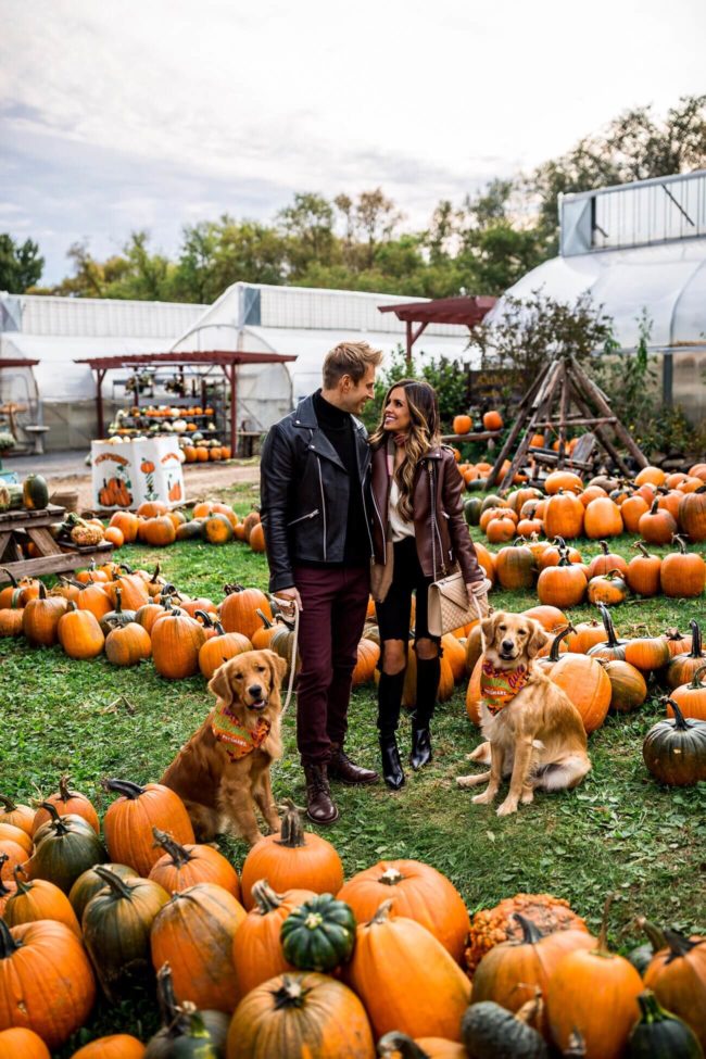 minnesota fashion blogger mia mia mine at a pumpkin patch in stillwater minnesota with husband phil thompson and golden retrievers luna and leo