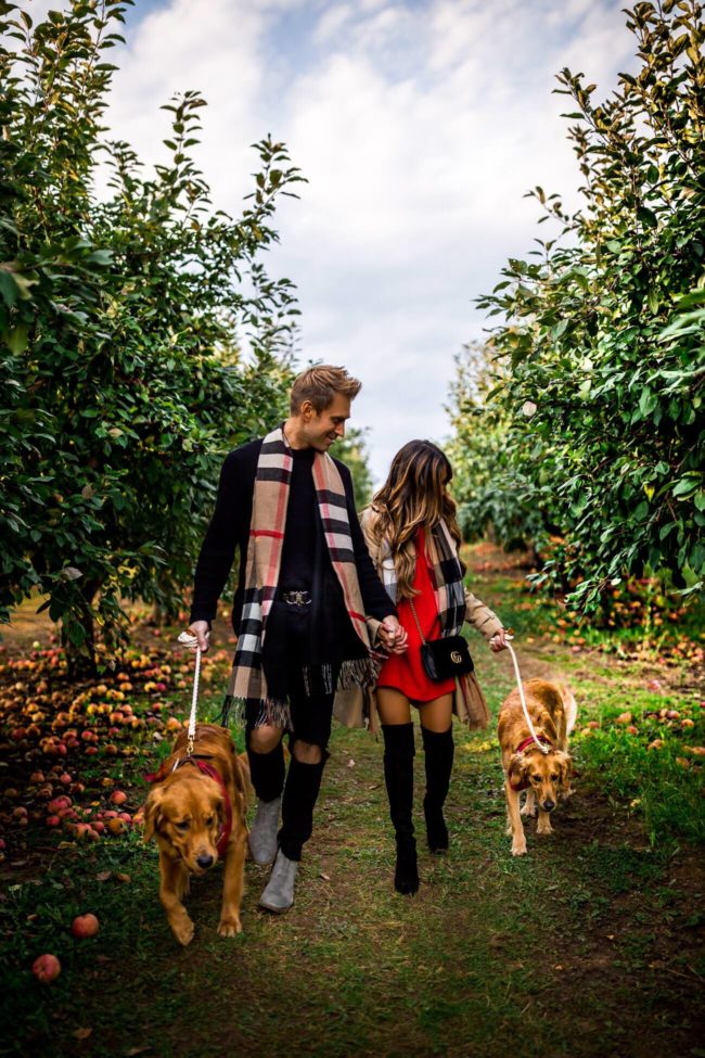 fashion blogger mia mia mine at an apple orchard with her family at aamodts apple orchard in stillwater mn