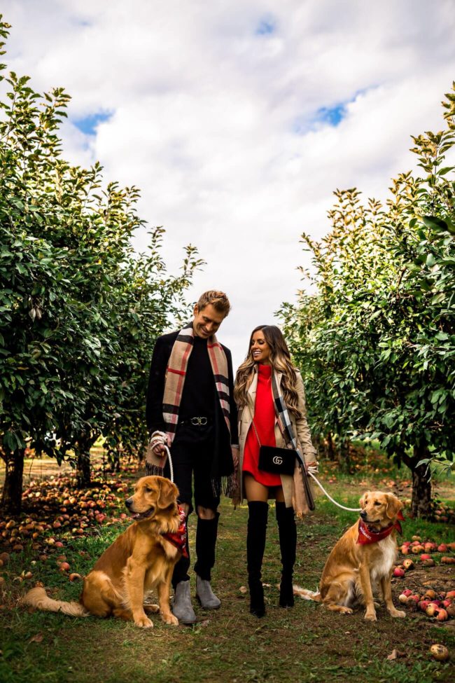 fashion blogger mia mia mine with her husband and golden retrievers at an apple orchard