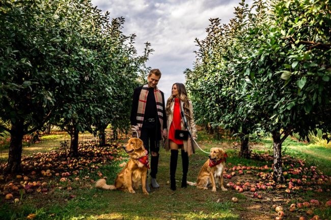 fashion blogger mia mia mine with her husband phil thompson and golden retrievers at an apple orchard