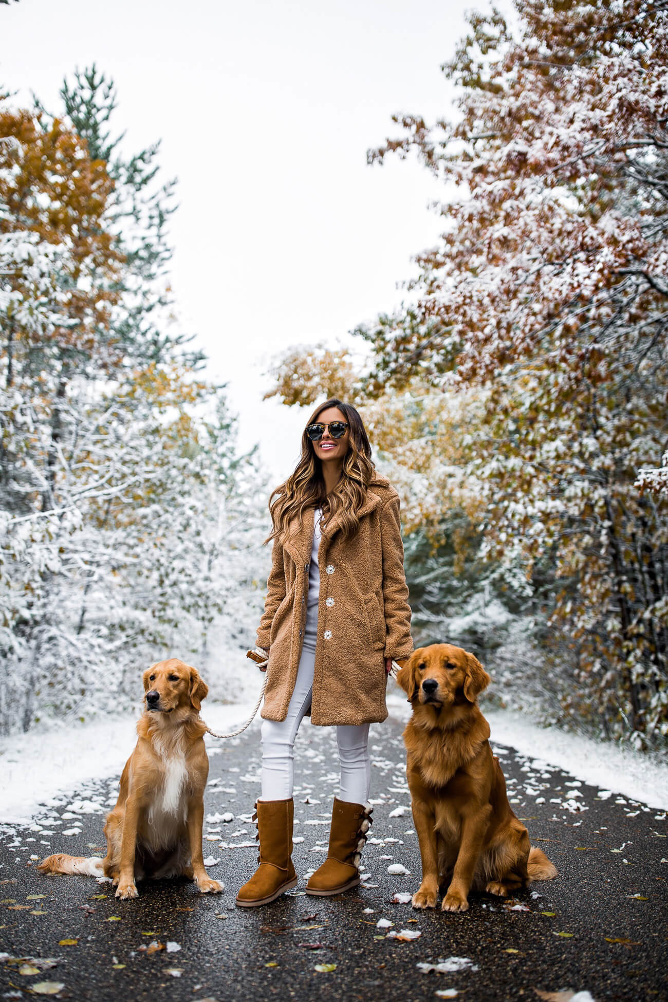 Можно гулять с собакой в парке. Зимняя фотосессия с собакой. Фотосессия с собакой зимой. Фотосессия прогулка с собакой. Фотосессия с собакой на улице зимой.