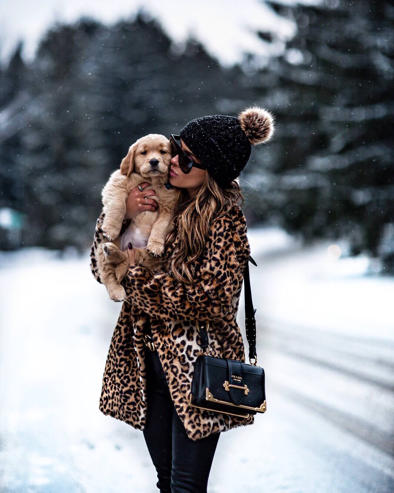 mia mia mine wearing a leopard coat with golden retriever puppy leo